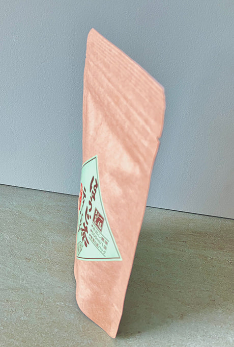 HOJICHA Organic Roasted green Tea Bag Made in Japan selected by Velnica From Japan