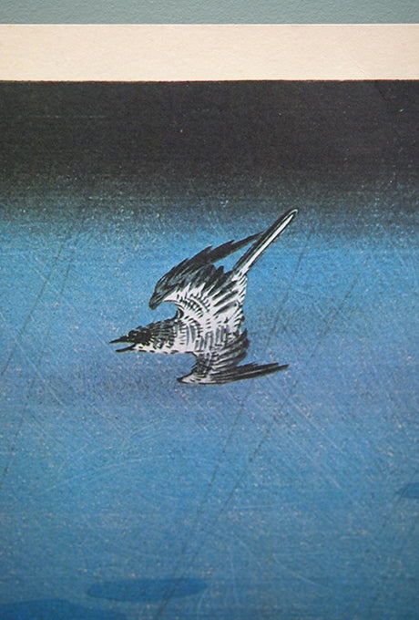 Ukiyo-e HIROSHIGE'S One Hundred Famous Views of Edo Velnica From Japan