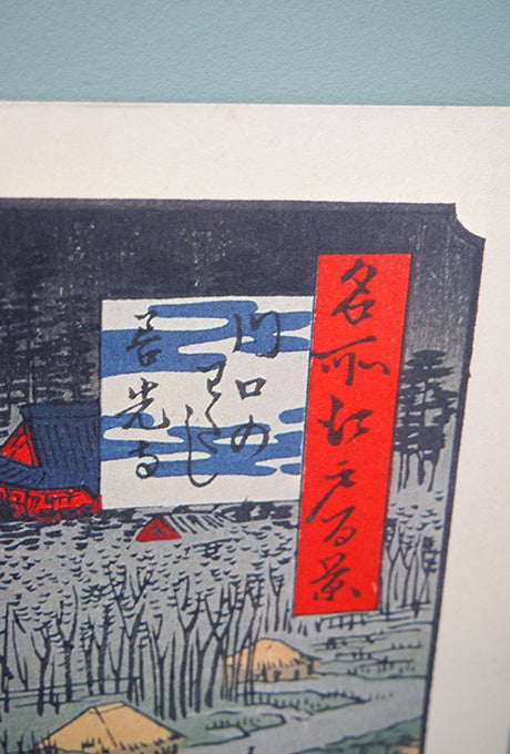 Ukiyo-e HIROSHIGE'S One Hundred Famous Views of Edo Velnica From Japan